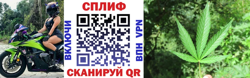 Купить закладку Конопля  APVP  МЕФ  Псилоцибиновые грибы  Cocaine  Снежногорск