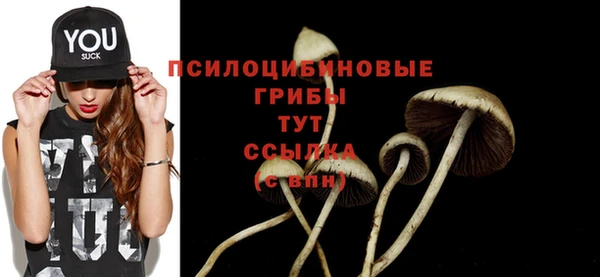 прущие грибы Алексеевка