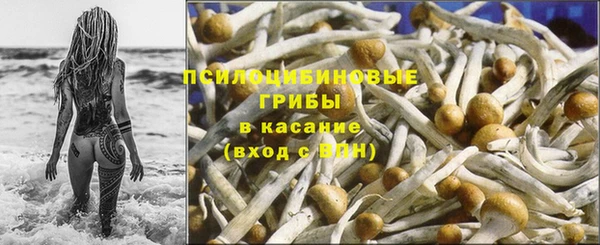 крисы Алзамай