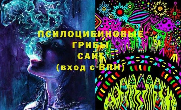 прущие грибы Алексеевка