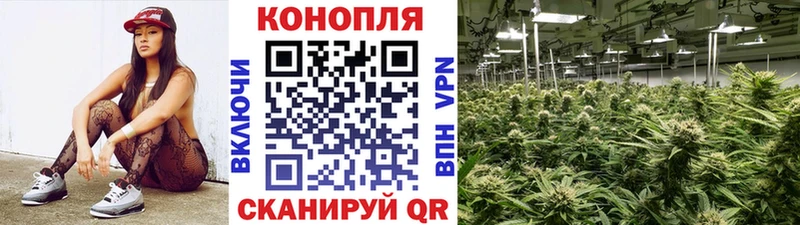 Каннабис семена  Купить закладки  Снежногорск 